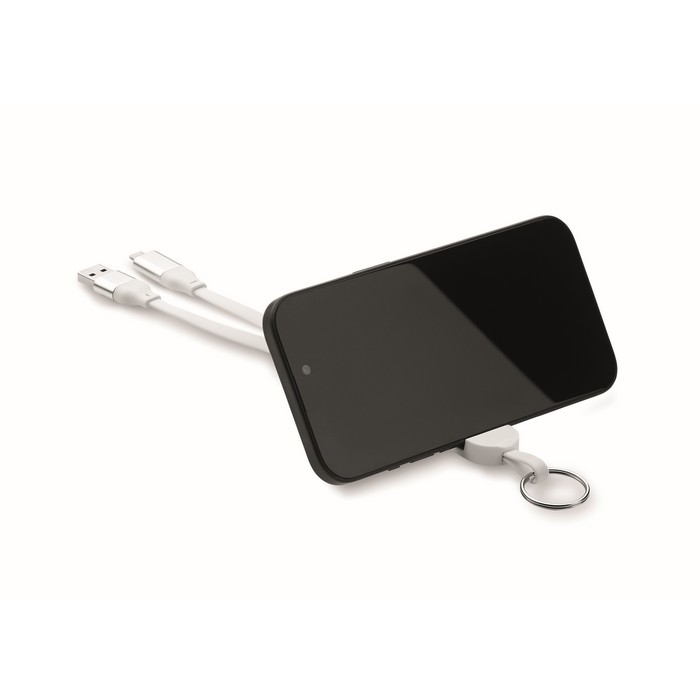 Schlüsselring mit 60W Kabel