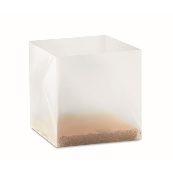 Pflanz-Set "Petersilie"