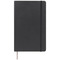 Moleskine Classic Softcover Notizbuch L – gepunktet