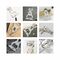 ROMINOX® Key Tool Bunny (16 Funktionen) Frohe Ostern 2K2110o
