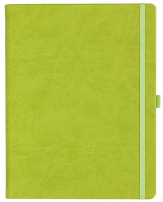 Notizbuch Style Large im Format 19x25cm, Inhalt liniert, Einband Slinky in der Farbe Lime