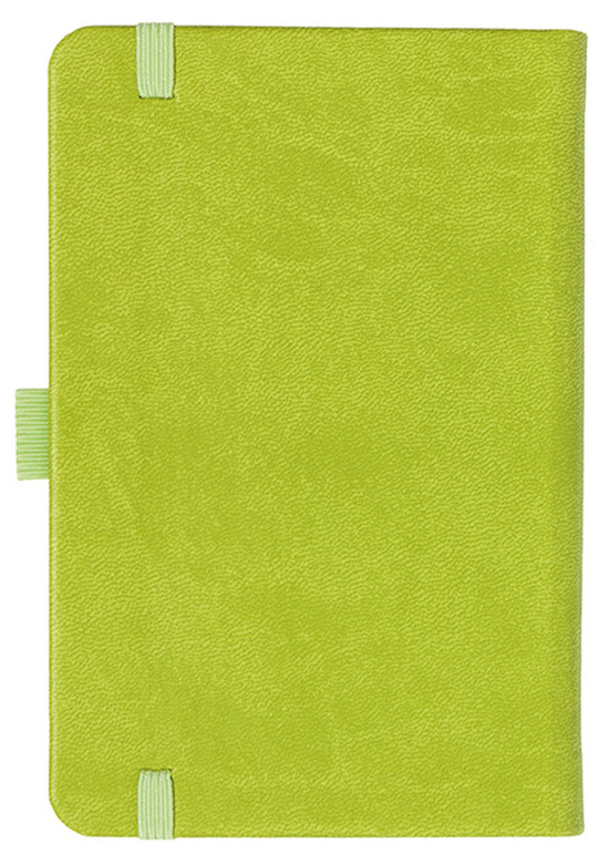 Notizbuch Style Small im Format 9x14cm, Inhalt blanco, Einband Slinky in der Farbe Lime