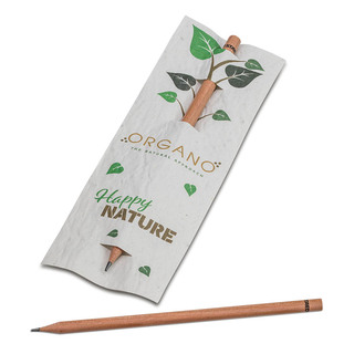Bleistift im Samenpapieretui - Margerite, Druck 4/0-c