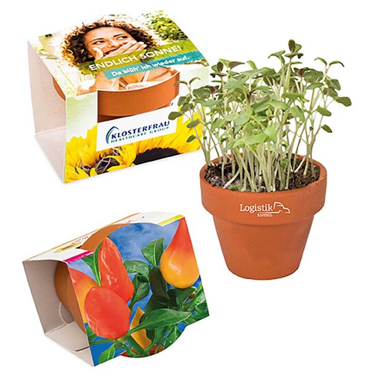 Logo-Töpfchen Komplettbanderole mit Samen - Gewürzpaprika