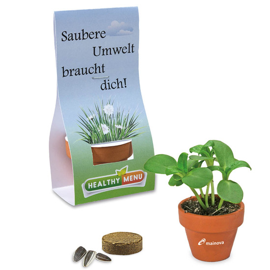 Logo-Töpfchen Überreichverpackung mit Samen - Sonnenblume