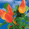 Pflanz-Cup mit Samen - Gewürzpaprika