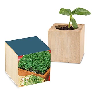 Pflanz-Holz mit Samen - Gartenkresse, 2 Seiten gelasert