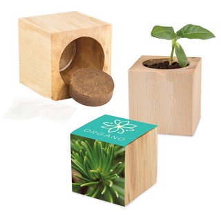 Pflanz-Holz Maxi mit Samen - Fichte