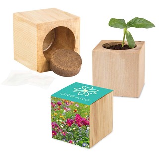 Pflanz-Holz Maxi mit Samen - Sommerblumenmischung, 2 Seiten gelasert