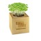 Pflanz-Holz Maxi mit Samen - Sommerblumenmischung, 2 Seiten gelasert