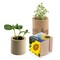 Pflanz-Holz rund mit Samen - Sonnenblume, Rundum-Lasergravur