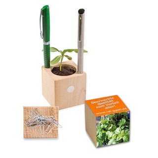 Pflanz-Holz Büro mit Samen - Kräutermischung