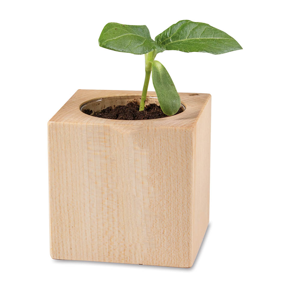Pflanz-Holz - Standardmotiv - Sonnenblume - 1 Seite gelasert