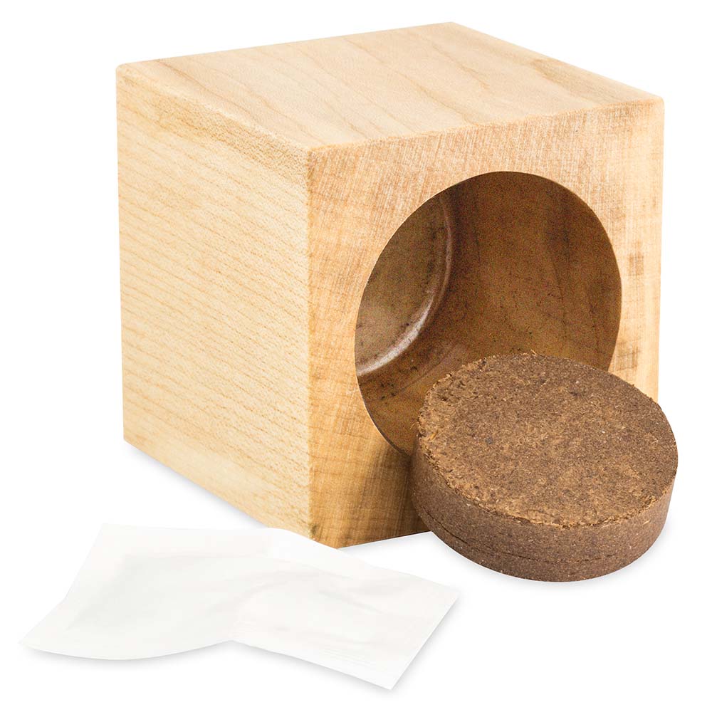 Pflanz-Holz Büro Star-Box mit Samen - Gewürzpaprika