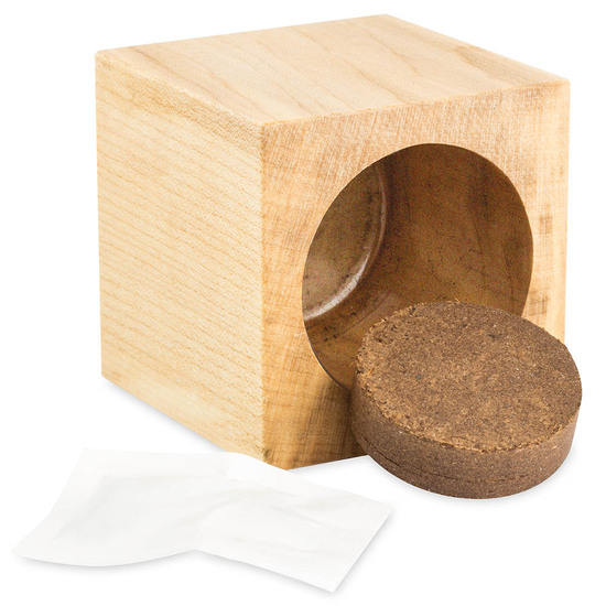 Pflanz-Holz Büro Star-Box mit Samen - Schnittlauch