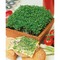 Pflanz-Holz Büro Star-Box mit Samen - Gartenkresse, 2 Seiten gelasert