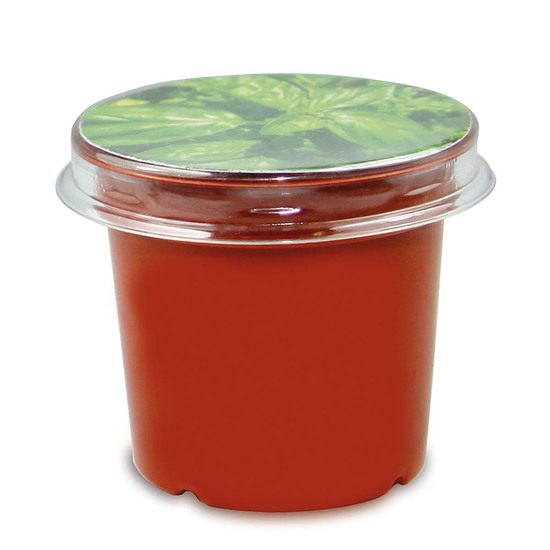 Florero-Töpfchen mit Samen - terracotta - Sonnenblume