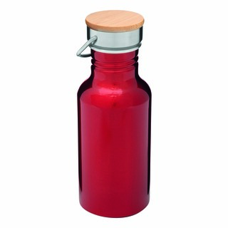 Aluminium Trinkflasche ECO TRANSIT 56-0603154