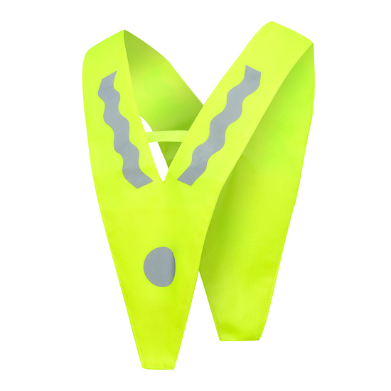 Kinder-Sicherheitsdreieck VICTORY