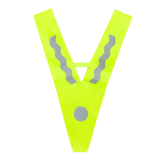 Kinder-Sicherheitsdreieck VICTORY