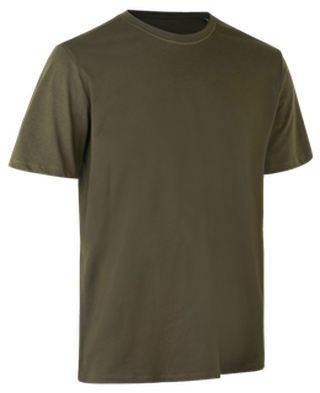 T-Shirt ökologisch für Damen & Herren