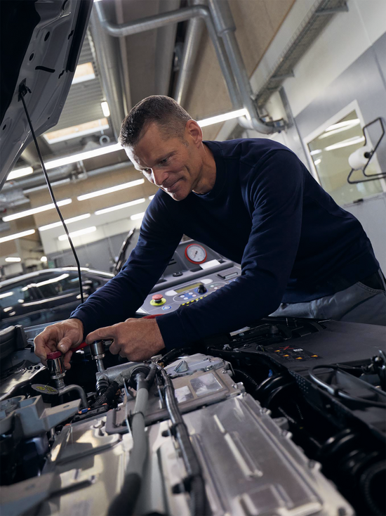 Sweatshirt ökologisch für Damen & Herren